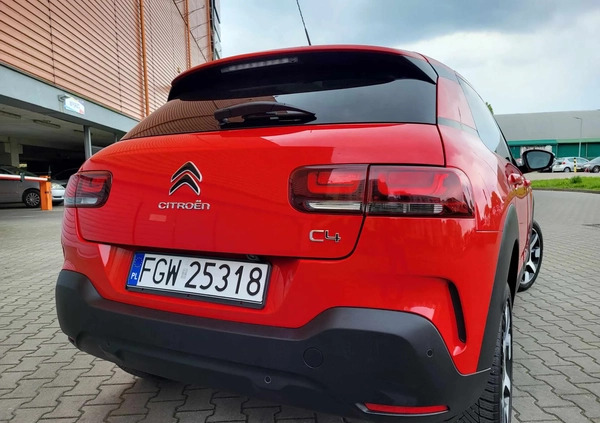 Citroen C4 Cactus cena 41900 przebieg: 200000, rok produkcji 2019 z Gliwice małe 254